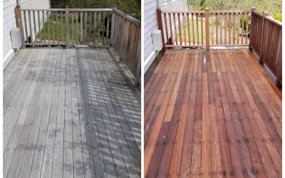 Get Ready for Spring – Pressure Washing Services to Refresh Your Home