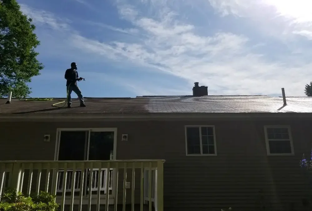 Expert Tips for Managing Lichen Growth on Roofs