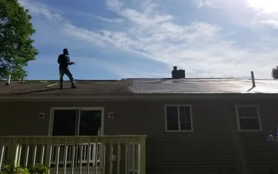 Expert Tips for Managing Lichen Growth on Roofs