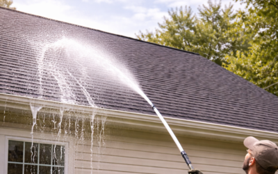 Is Roof Washing Necessary for Your Home?